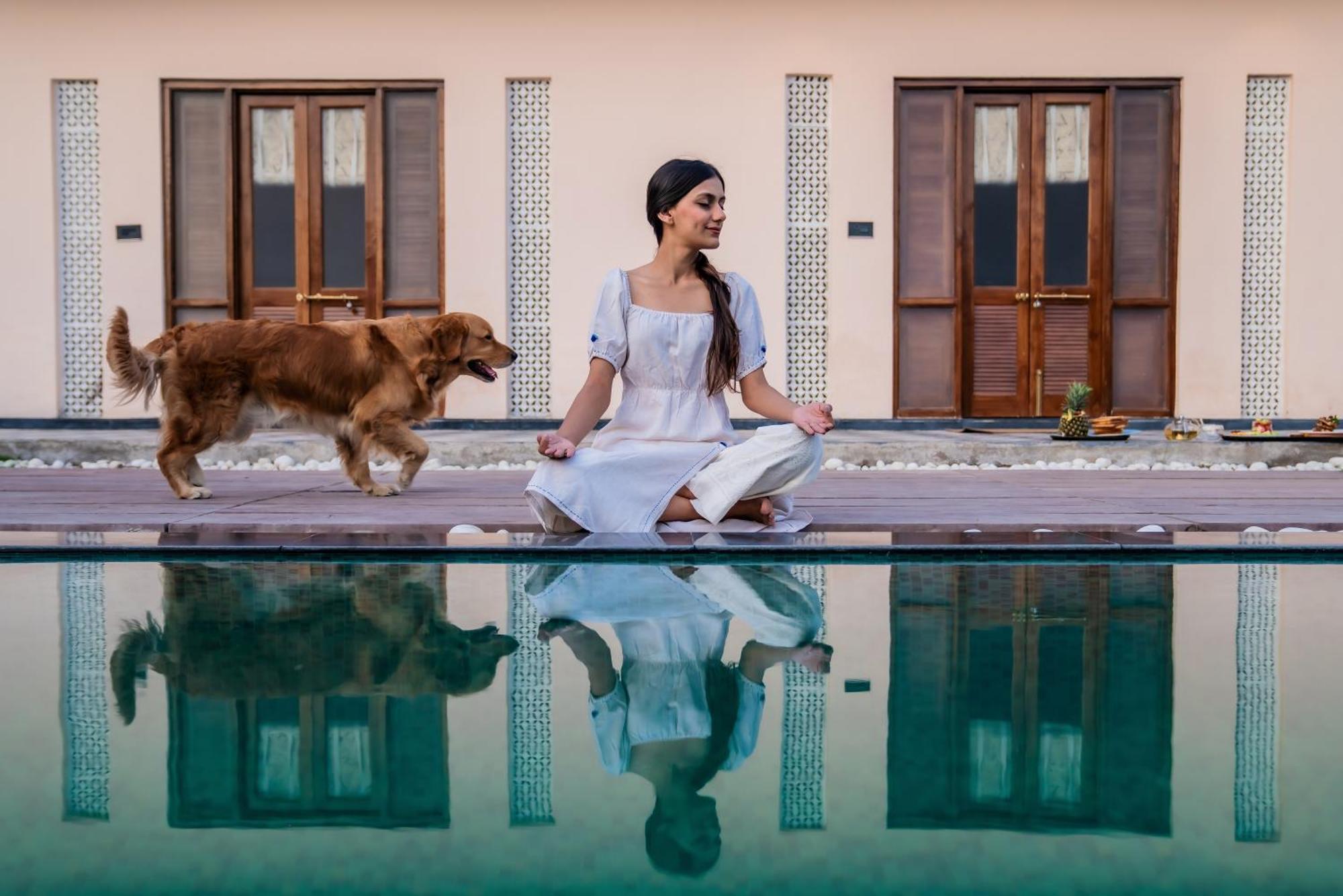 Parijat Private Pool Villa 1, 2 And 3 Bhk Udaipur Ngoại thất bức ảnh